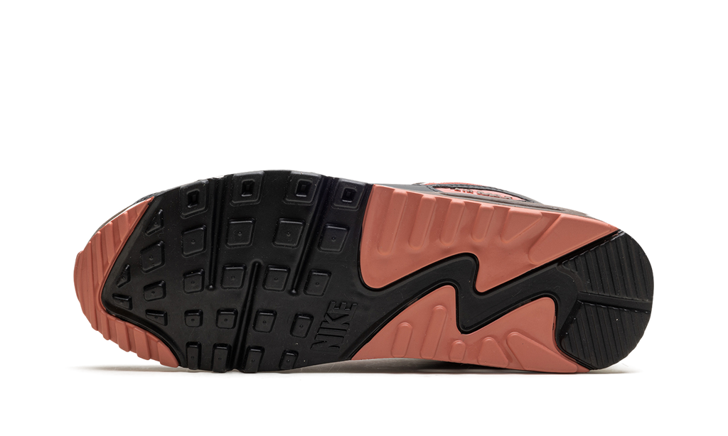 Air Max 90 "Ironstone Red Stardust" DM0029 105